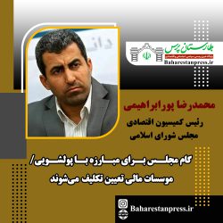 محمدرضا پورابراهیمی ؛ رئیس کمیسیون اقتصادی مجلس شورای اسلامی : گام مجلس برای مبارزه با پولشویی/ موسسات مالی تعیین‌ تکلیف می‌شوند