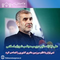 علی نیکزاد ،نایب رییس مجلس شورای اسلامی: نمی‌توان با ظلم سرزمین مادری کشوری را تصاحب کرد
