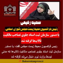 سمیه رفیعی ، رئیس فراکسیون محیط زیست مجلس شورای اسلامی: با دستور سازمان ثبت اسناد جلوی تصاحب مالکیت تالاب‌ها گرفته شد