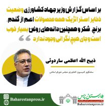 ذبیح الله اعظمی ،سخنگوی کمیسیون کشاورزی مجلس شورای اسلامی : هیچ نگرانی برای ذخایر استراتژیک وجود ندارد
