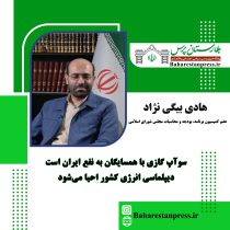 هادی بیگی‌نژاد ،عضو کمیسیون انرژی مجلس شورای اسلامی: سوآپ گازی با همسایگان به نفع ایران است/دیپلماسی انرژی کشور احیا می‌شود